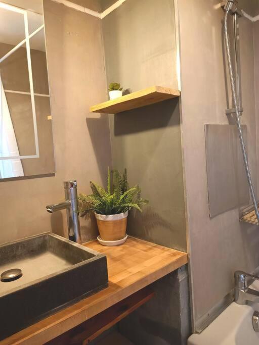 Appartement Le Cosy Plein Centre Avec Terrasse à Meximieux Extérieur photo